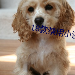 《18款禁用小說黃免費》App(無彈窗廣告)