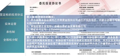 調(diào)查 從眾安實(shí)業(yè)到眾昂礦業(yè),投資人怎樣才能拿到礦山股份成為 礦主