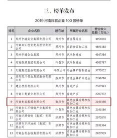 喜訊 龍成集團(tuán)榮登2019河南民營企業(yè)100強(qiáng)第9位